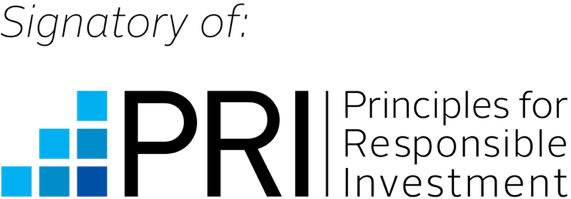 Impact partner